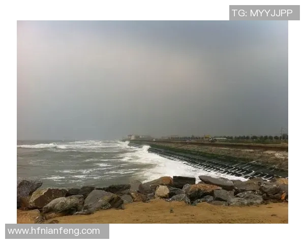 海防主场迎战河内争夺越南联赛冠军宝座激烈对决即将上演